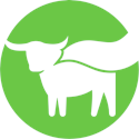 Beyond Meat Inc stock icon