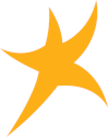 DaVita Inc.