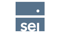 SEI QiM U.S. Large Cap Low Volatility Active ETF logo