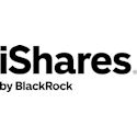 iShares US Small Cap Value Factor ETF logo