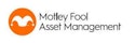 Motley Fool Capital Efficiency 100 Index ETF logo