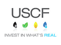United States Commodity Index Fund Earnings