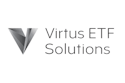 Virtus Stone Harbor Emerging Markets High Yield Bond ETF logo